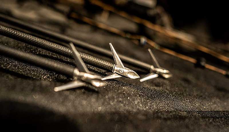Best Broadheads for Elk Hunting Reviews