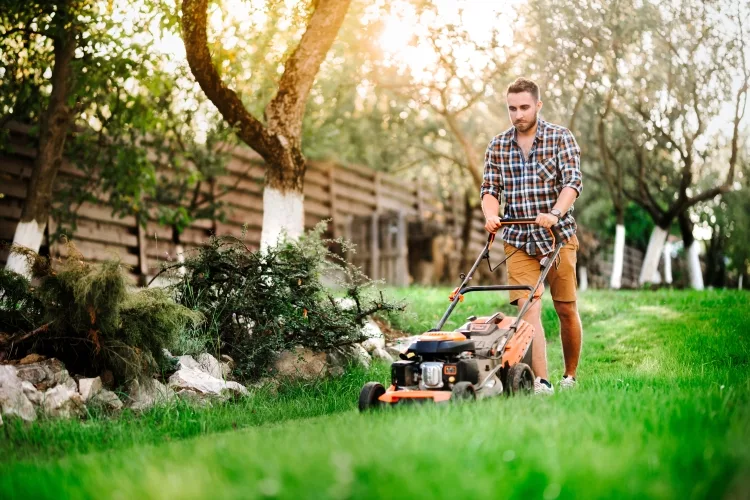 Top 6 Best Lightweight Lawnmowers:
