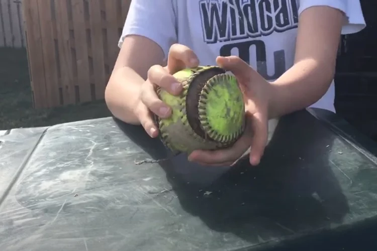 How Much Does a Softball Weigh?