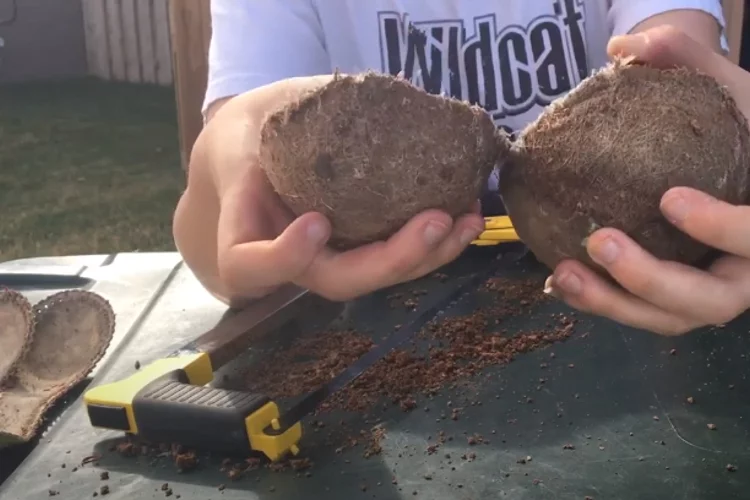 What Is the Composition of a Softball?