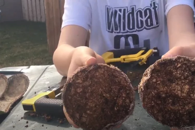 What Is the Composition of a Softball?