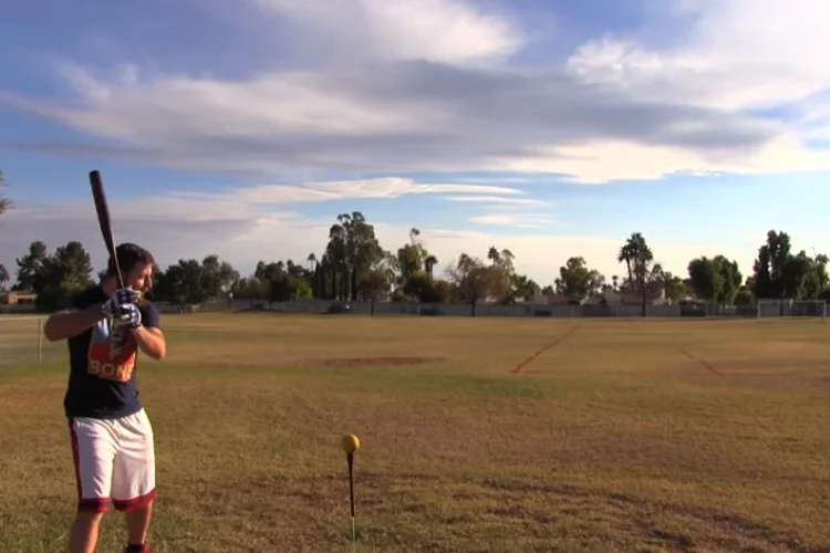 Softball vs. Baseball Bat