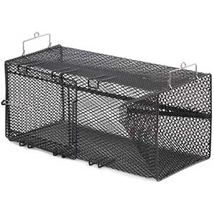 Frabill Rectangular Pinfish Trap | Vinyl Coated | Salt & Plain Water