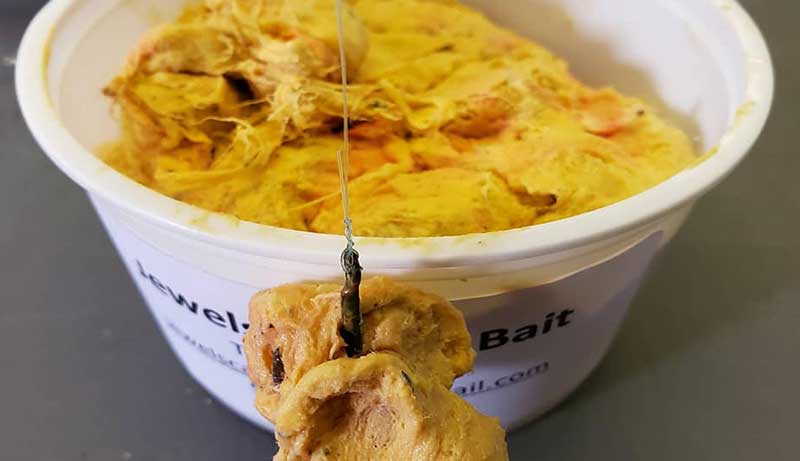 Best Punch Bait Reviews